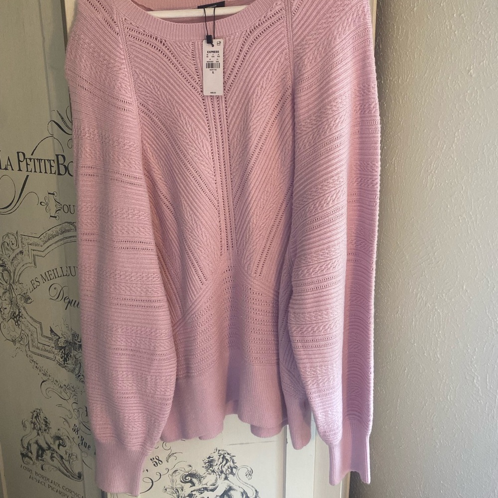 NWT Express Pink Sweater with Dolman Sleeve